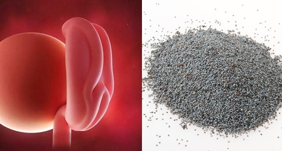 1-40周胎儿发育拍照片记录对比,一张图看懂胎儿发育