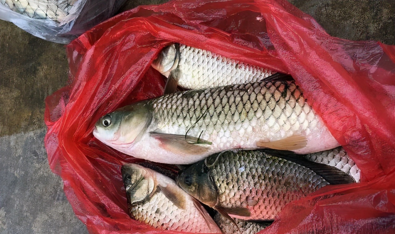 钓鱼人崩溃的时刻,钓鱼人崩溃瞬间