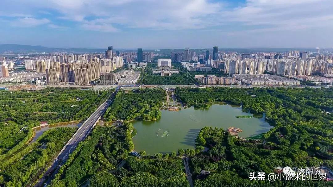 河南洛阳发布最新通知,洛阳牡丹花会向全世界发出邀请