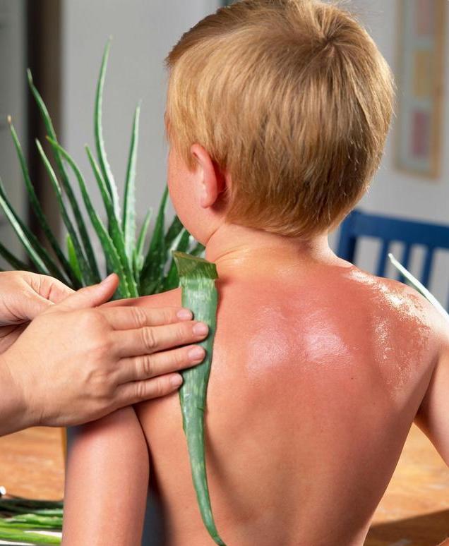 俗称万能胶的完美芦荟胶,测评一摸就磨皮的芦荟胶