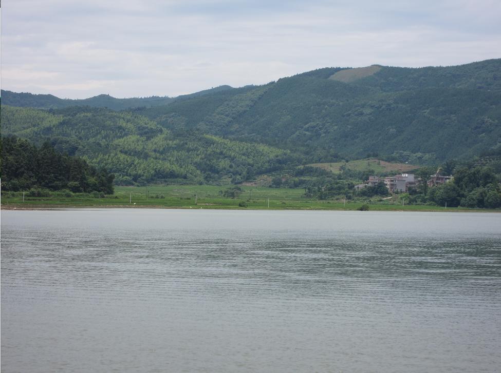 此心安处是吾乡申论范文,此心安处是吾乡陆沉