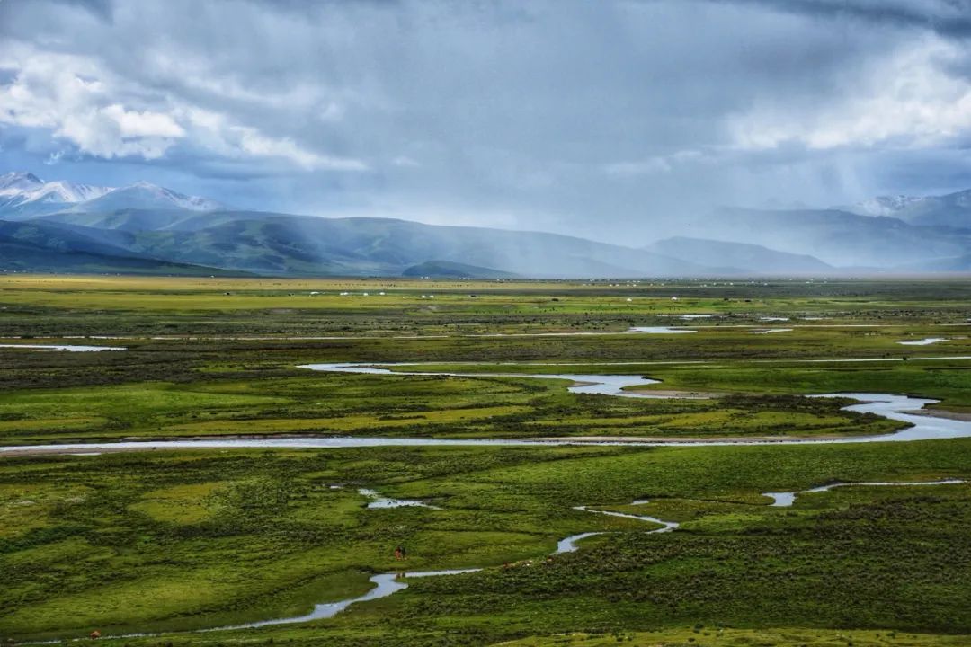 丁真和四川什么关系,丁真背后是谁