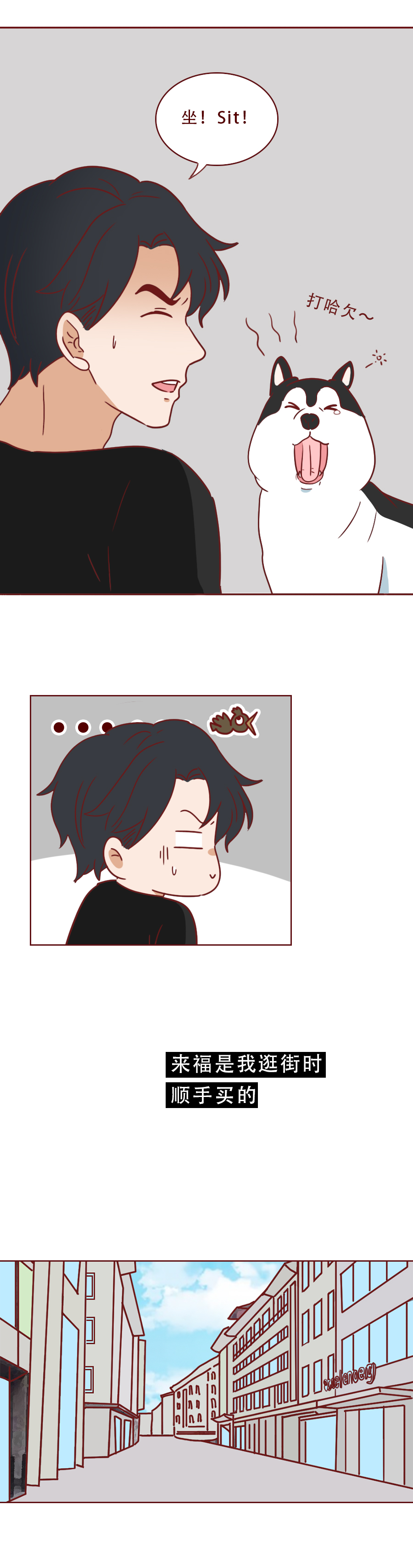 捡了一只猫好像抑郁了怎么办,一只抑郁症猫咪被救赎的故事