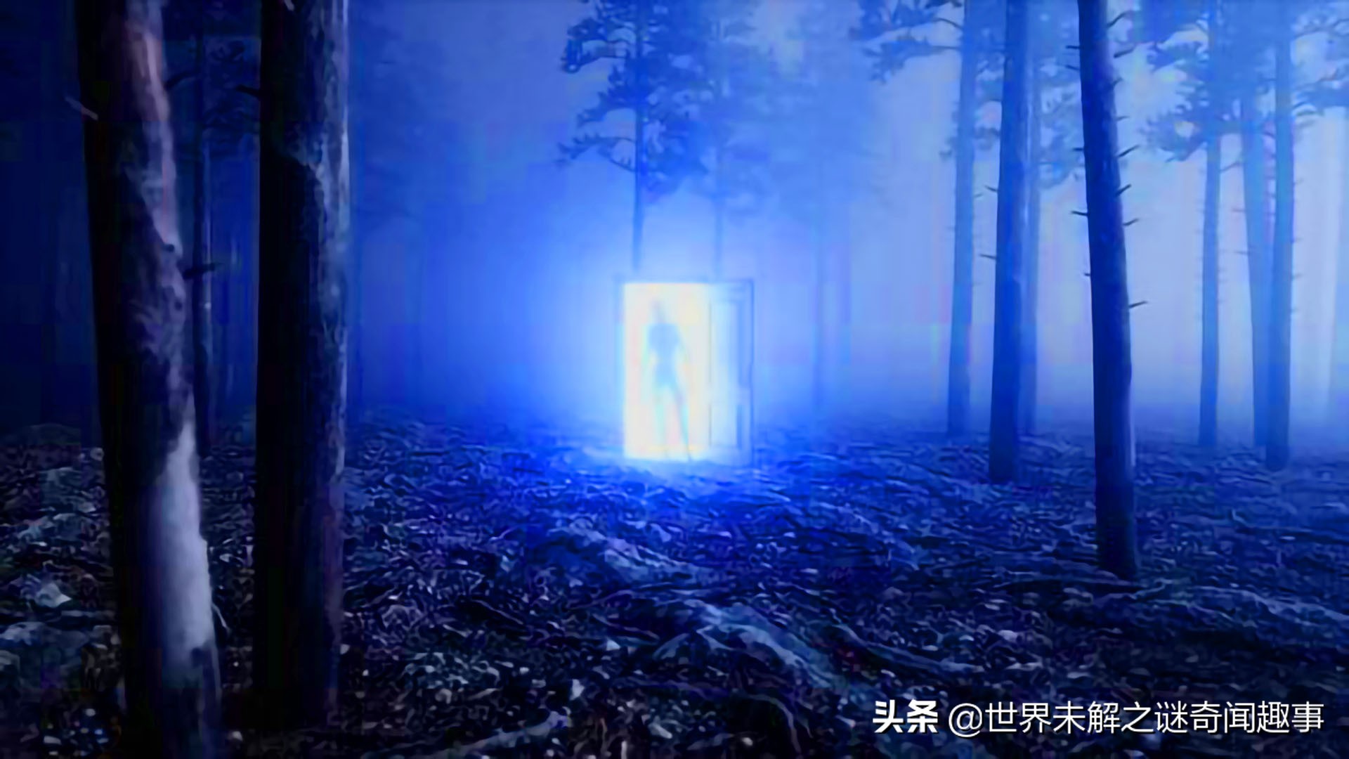 为何霍亚森林没人敢进？女孩无意闯入消失5年，称里面有时空之门