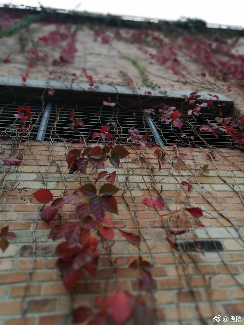 江西景德镇陶溪川陶瓷文化创意园,景德镇陶溪川文创街区夜景美篇