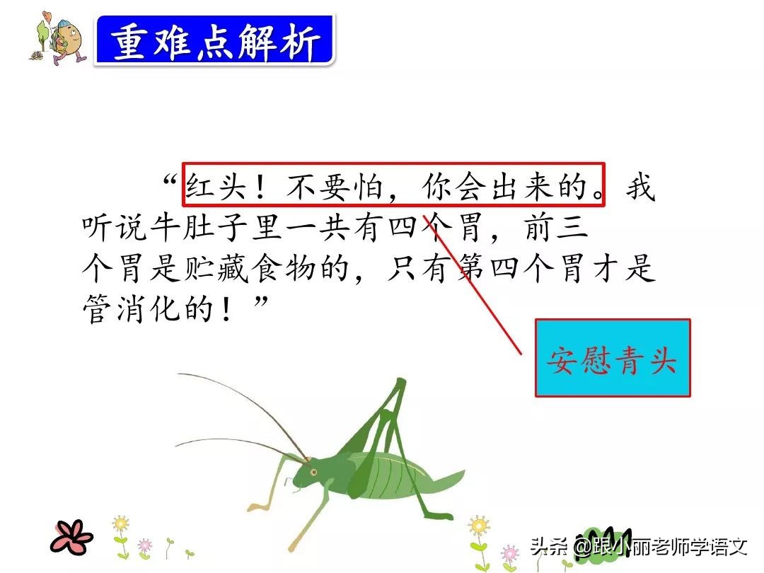 三年级上册在牛的肚子里旅行预习,三上语文在牛肚子里旅行同步讲解