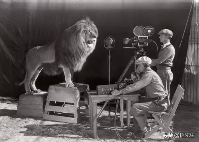 霍金年轻时照片有多帅,霍金21岁时的照片