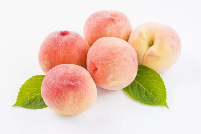 水蜜桃桃胶功效与作用,水蜜桃罐头的功效与作用