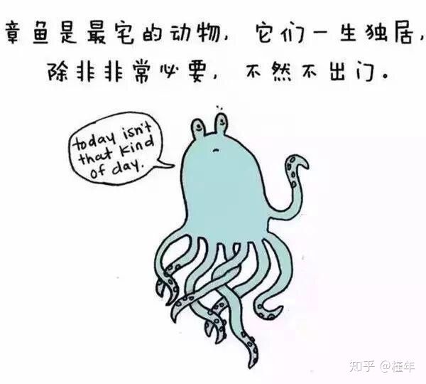 想象中不一样的动物冷知识,悲伤的动物视频