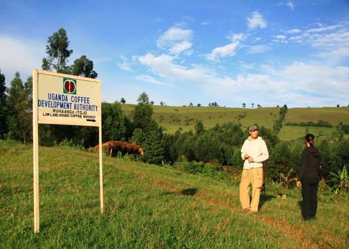 星巴克咖啡不知道点什么咖啡,星巴克不知道的咖啡