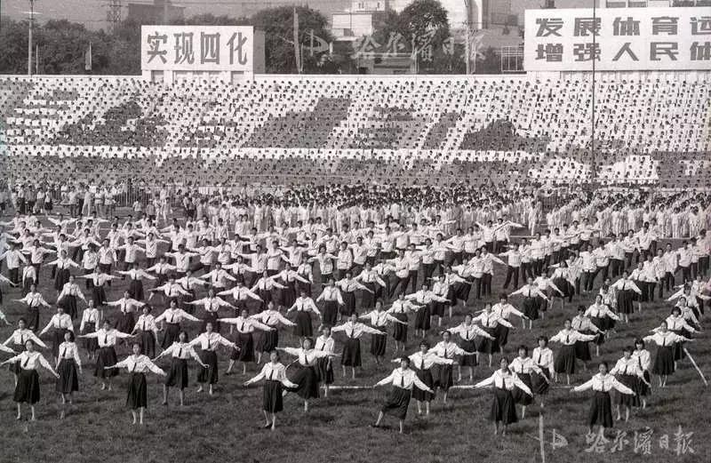 八区足球场,人造草坪足球场鸟瞰图