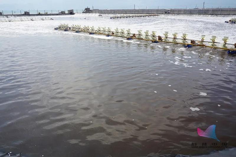 注意！这样的海水可能有毒，被污染的海鲜也不要吃！严重可致命…