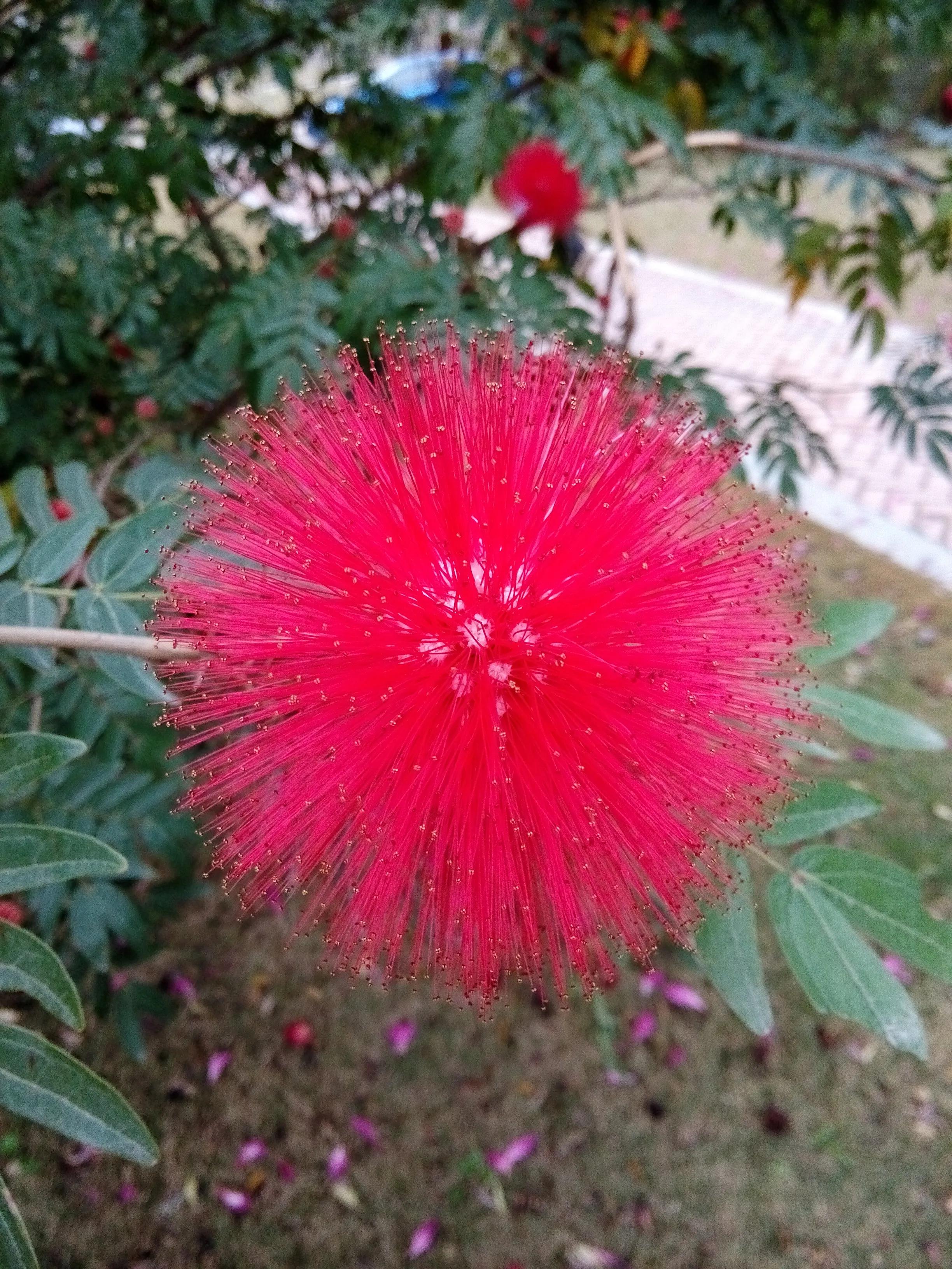 曾经特别火的拍照手机,那些年的拍照手机