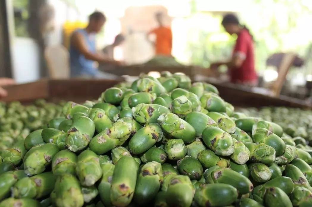 槟榔吃了有什么好坏处,槟榔吃多了对什么害处大