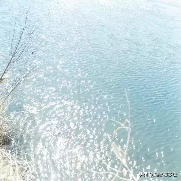 推荐几个日系摄影师,推荐个日系摄影师名字