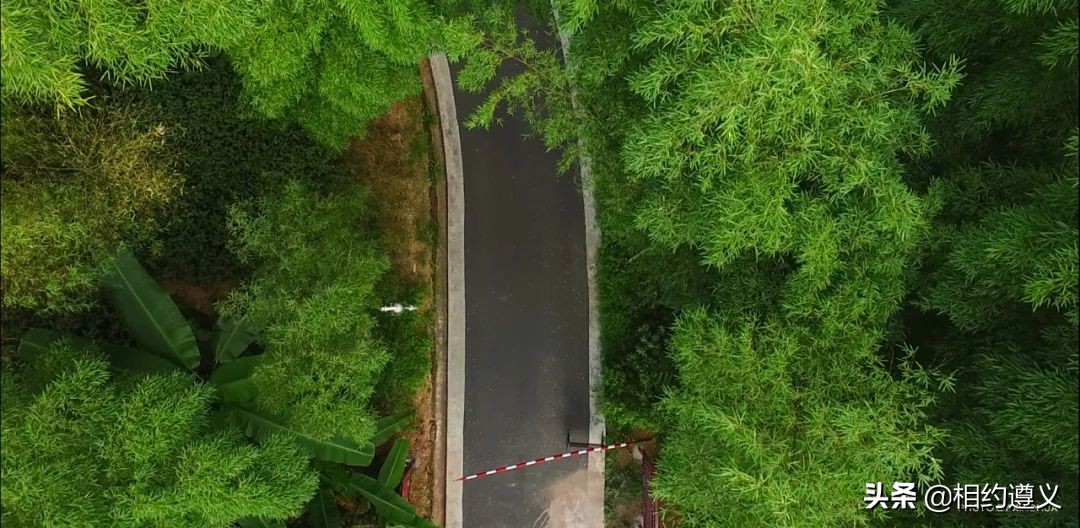 赤水大瀑布 侏罗纪公园 (世界唯一保留的侏罗纪原始公园)