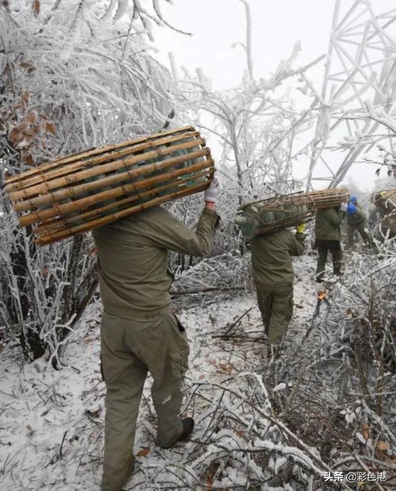 2022全国晚报摄影优秀图片评选,记者获奖照片触目惊心