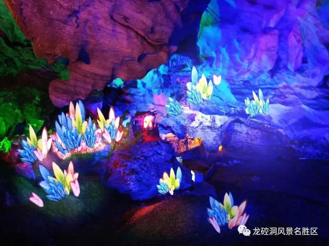 清新优雅空气新鲜是休闲的好地方,龙岩静心的地方