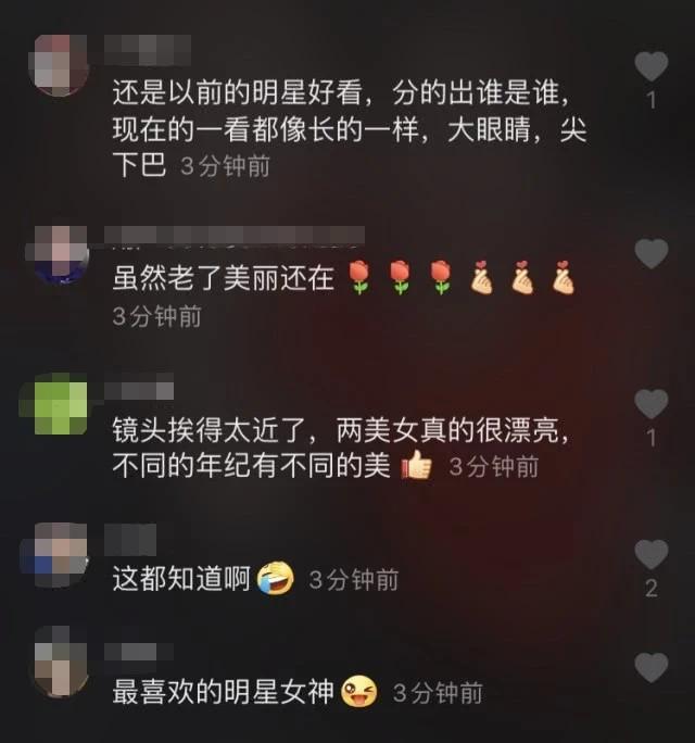 洪欣陈法蓉最近消息,洪欣陈法蓉合体综艺