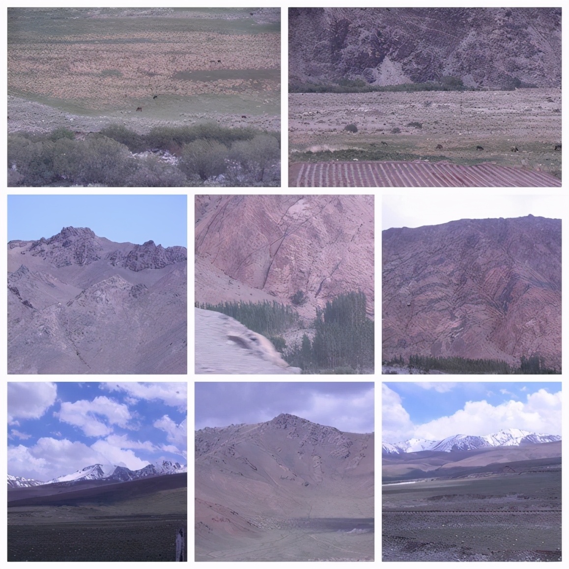 2013年E-1*疆新**东南西北中班车自助游-东