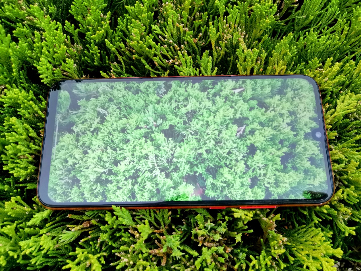 荣耀10青春版朱正廷壁纸无水印,荣耀10青春版渐变红