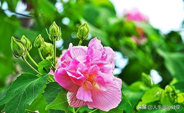 人生格言经典短句励志正能量,正能量人生格言励志短句大全