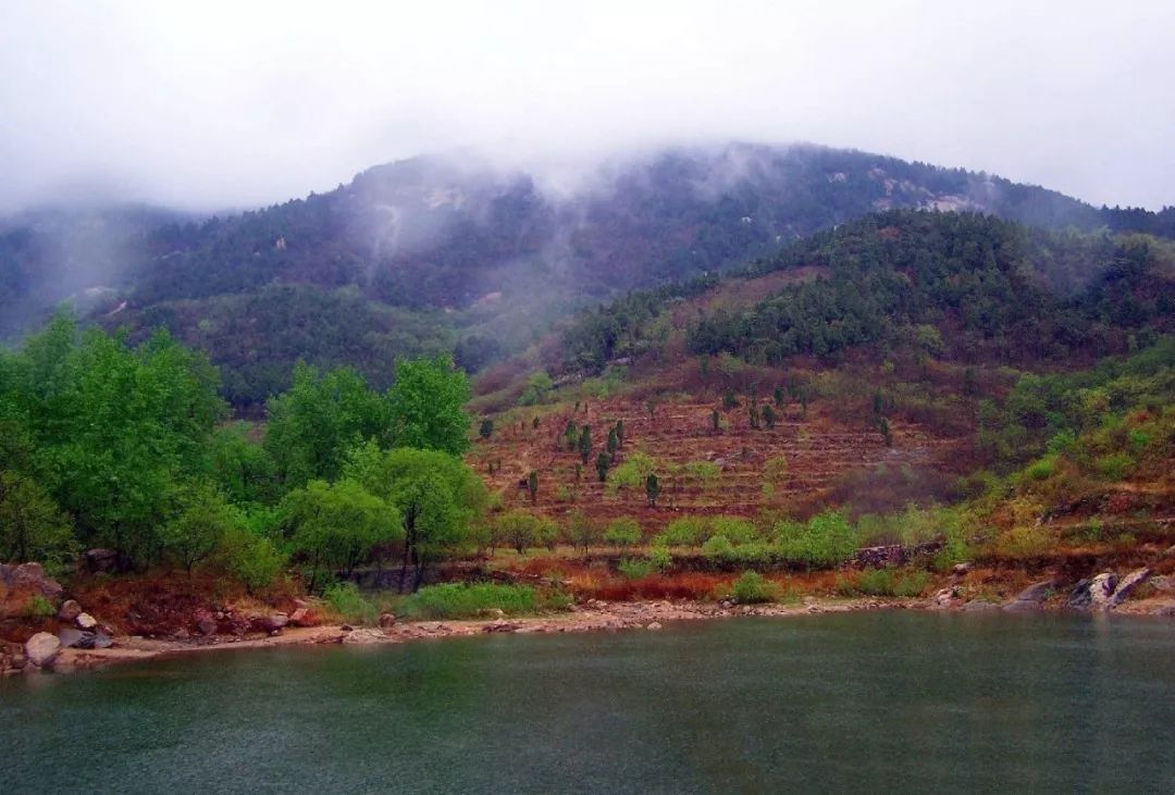 山东百强县2021年排名,山东2021百强县排名榜