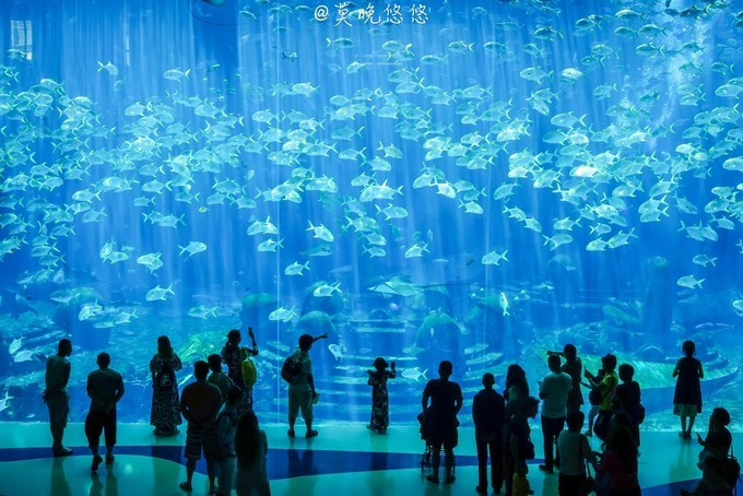 七星级酒店亚特兰蒂斯,三亚七星级酒店亚特兰蒂斯门票