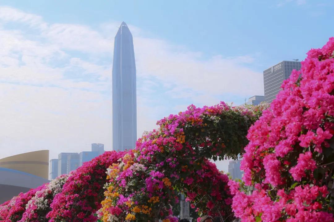 深圳五人获评新一季广东好人,深圳第四季度好人名单