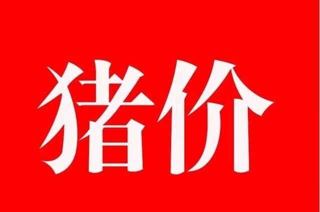 猪价大幅下跌春节前猪价还能涨吗,猪价一跌一涨未来猪价还会下跌吗