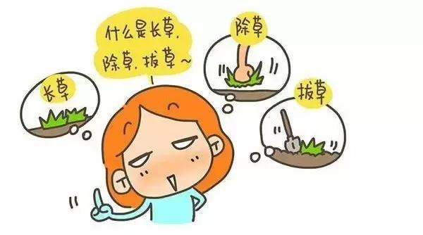 学生党100元全套护肤,学生党300元搞定全套护肤品