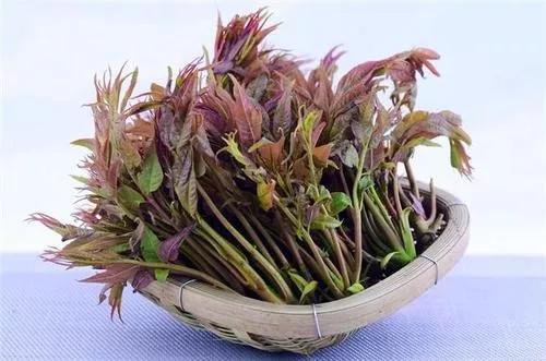 回村创业项目,2022适合农村10个创业项目