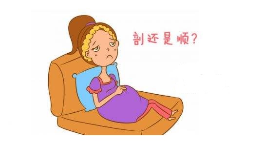 福原爱几个月怀二胎,福原爱二胎产子