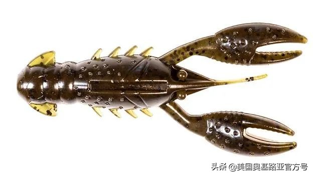 全国渔具展会2024时间表,全国渔具展2024