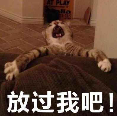 那些“奇葩歌名”歌单,让我认清了自己不会起标题的现实...