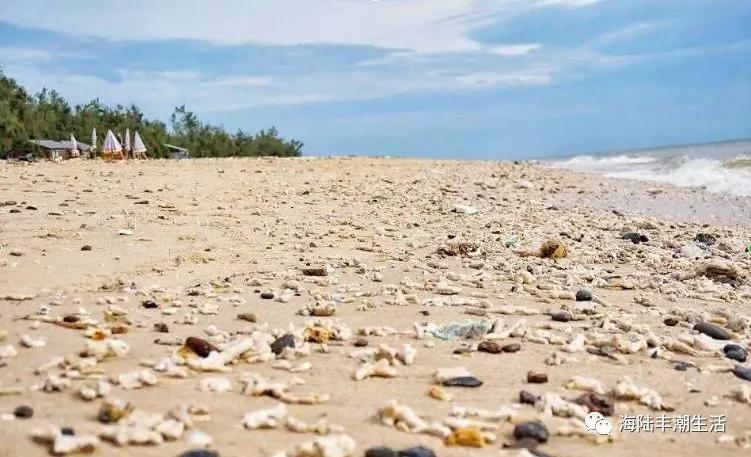 汕尾风车岛红海湾视频,汕尾风车岛浅海湾
