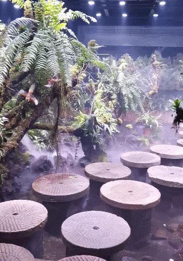 瞒不住了，孙悟空来聊城了，还带着“花果山”