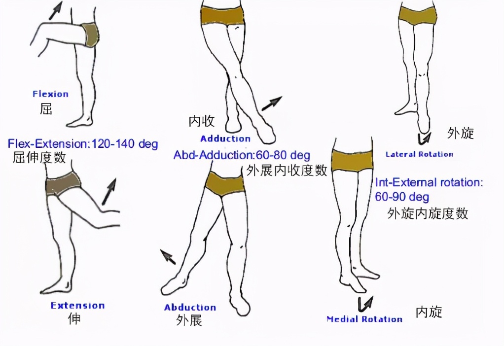 瑜伽这6个动作，开髋效果超棒
