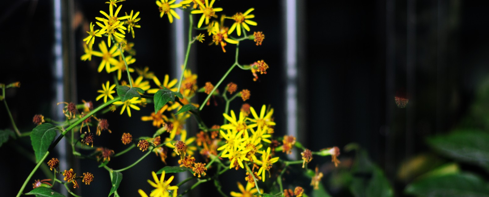 摄影小白买相机推荐,摄影小白看过来