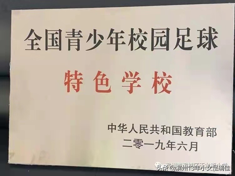 青少年足球联赛侧记,玉龙湖小学体育