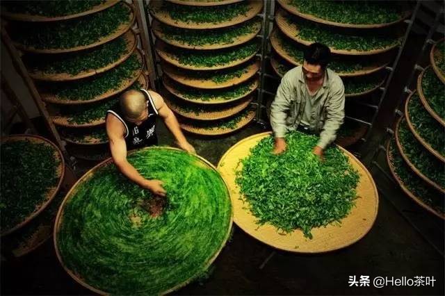武夷名茶金骏眉红茶精品,福建名茶篇武夷红茶金骏眉