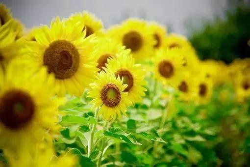 人到中年有什么理由谈自由,中年人谈什么自由