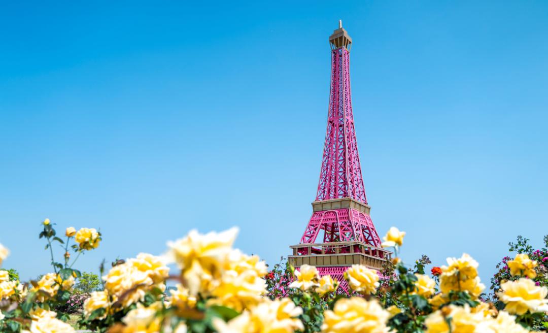 上海最大薰衣草公园,上海薰衣草公园迪士尼