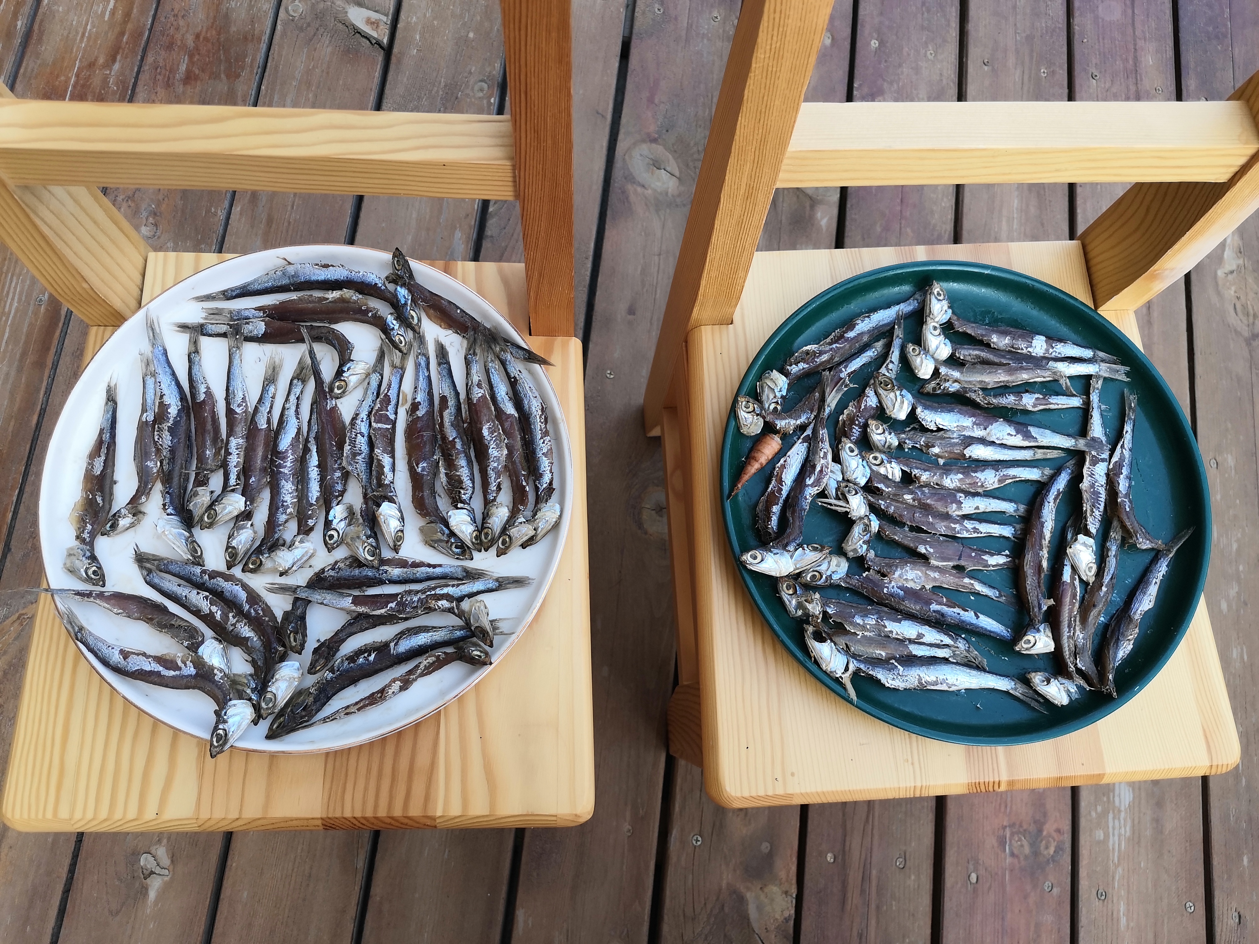 晒鱼干怎么晒好吃又简单,怎么晒鱼干才好吃