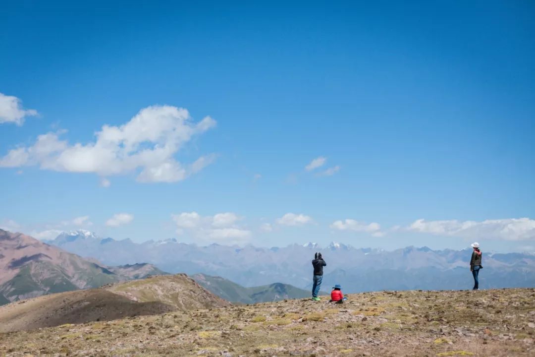 只要你面朝青海湖，八月依旧春暖花开