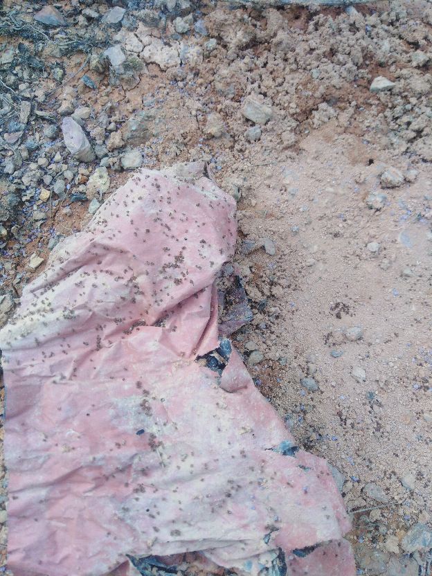 怎么烧红火蚁方便,自制灭红火蚁配方