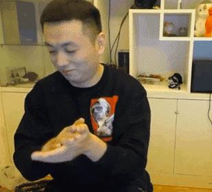 带冻干的狗粮推荐大品牌,猫狗粮推荐排行榜