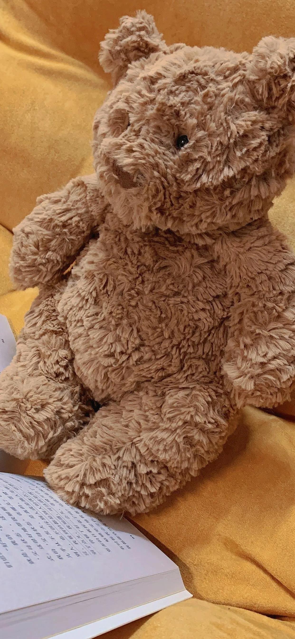 巴塞罗那熊4k壁纸,巴塞罗那熊高清手机壁纸