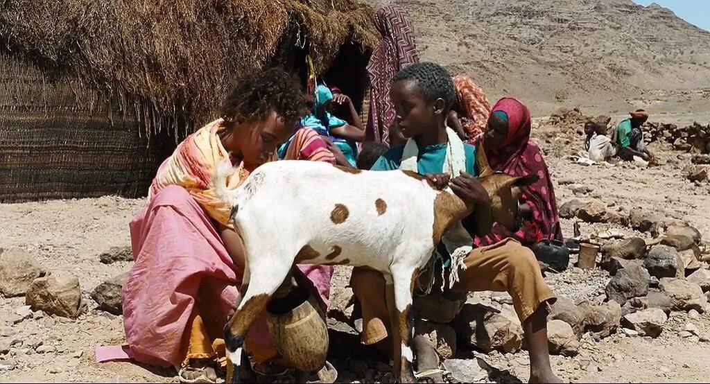 《沙漠之花》|陋习之下的女性命运