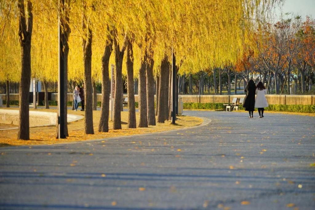 郑州象湖冬天图片,郑州象湖航拍视频